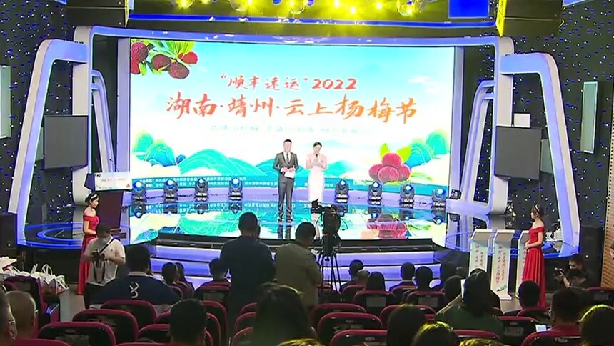 靖州“云端”杨梅节开启 品靖州杨梅赏苗侗风情
