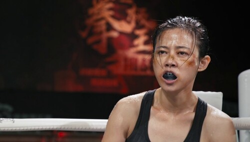 白杨打败对手