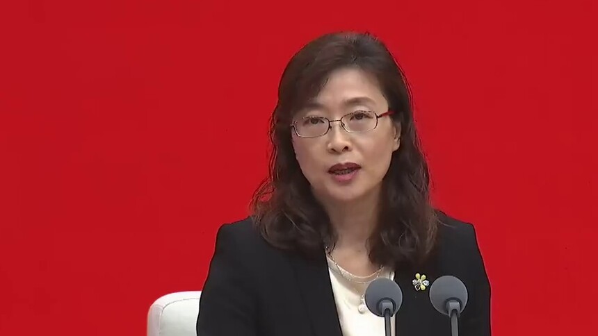 中国这十年·系列主题新闻发布 | 王春英：国际收支基本平衡 更加稳健