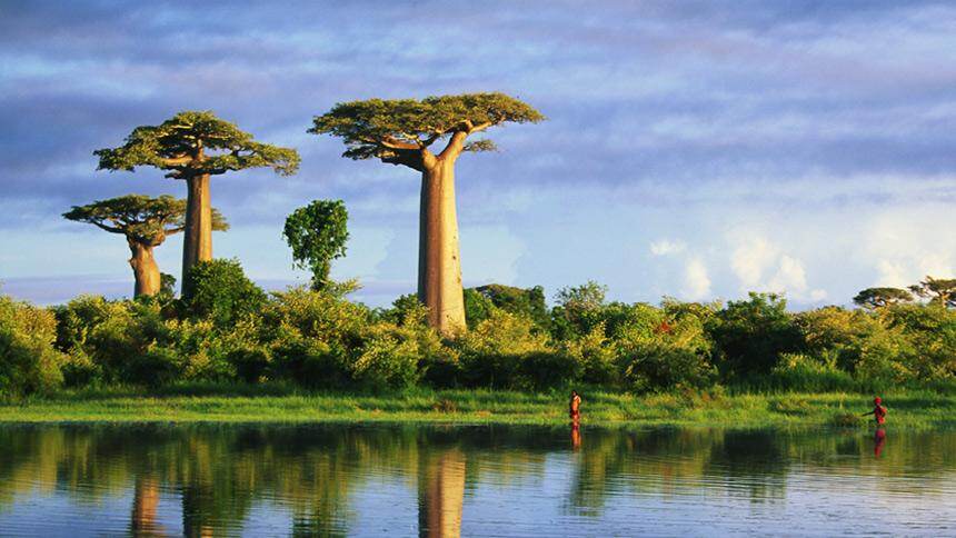 走进马达加斯加