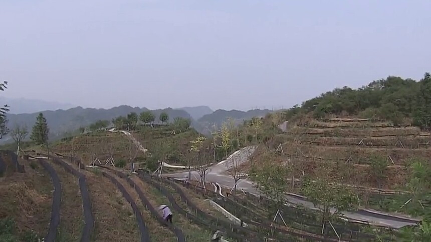朱国贤在湘西州调研时强调 抓实抗旱救灾和脱贫成果巩固 千方百计让老百姓过上好日子