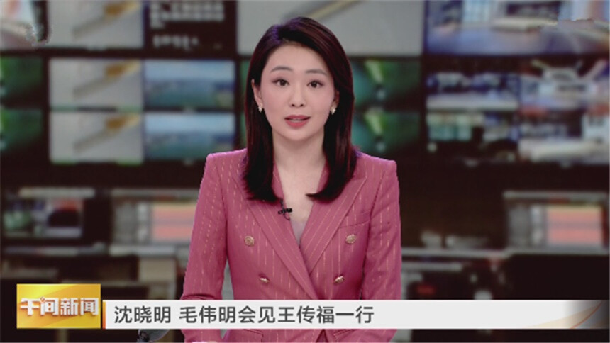 沈晓明 毛伟明会见王传福一行