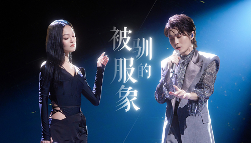 纯享版：张韶涵裘德《被驯服的象》