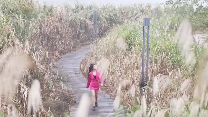 和秋天同框：秋风起 凉意生 巴溪洲里遇晚秋