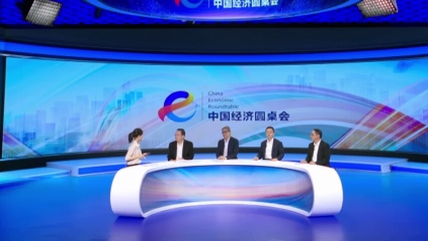 中国经济圆桌会｜魏东：民营经济至关重要不可或缺