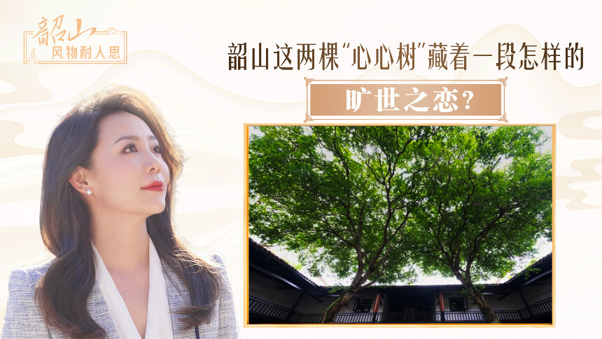 韶山这两棵“心心树”藏着一段怎样的旷世之恋？