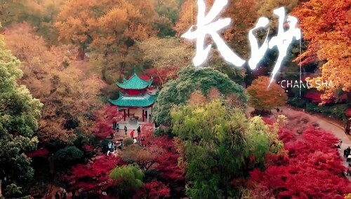 长沙美景大赏 全是宝藏打卡地！