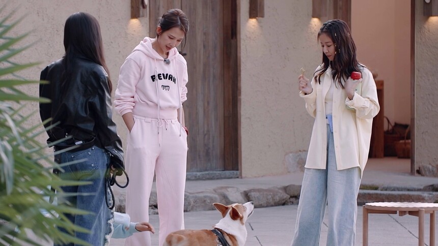 谢娜土味比心笑趴于文文 小爱民宿疯狂跑酷