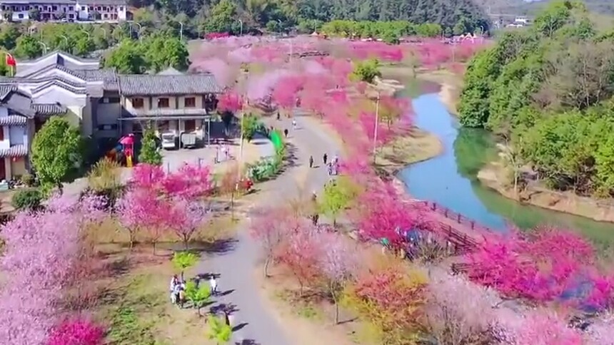 3月气温“狂飙” 晴暖破纪录