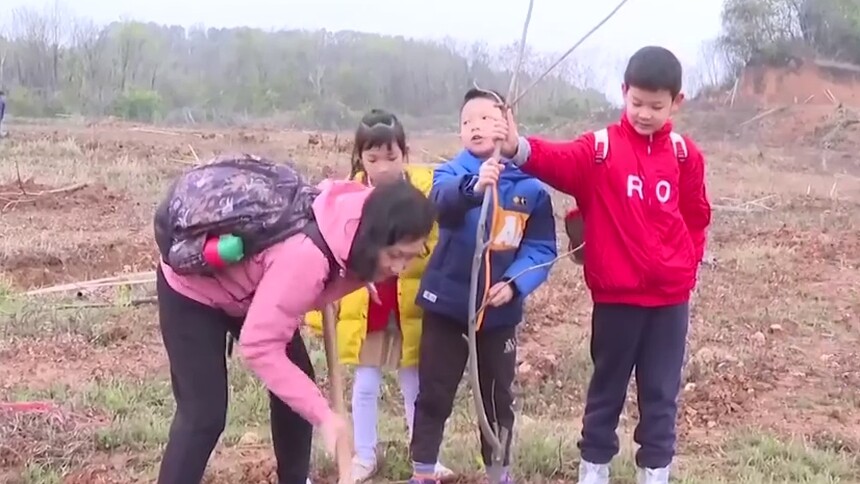 芒果V基金公益植树活动走进乡村