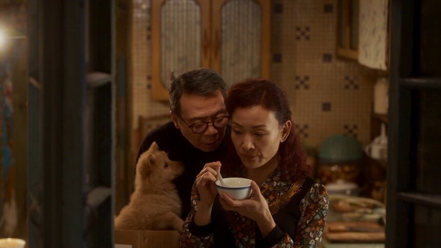 《忠犬八公》终极预告 真挚感人获观众泪目力赞
