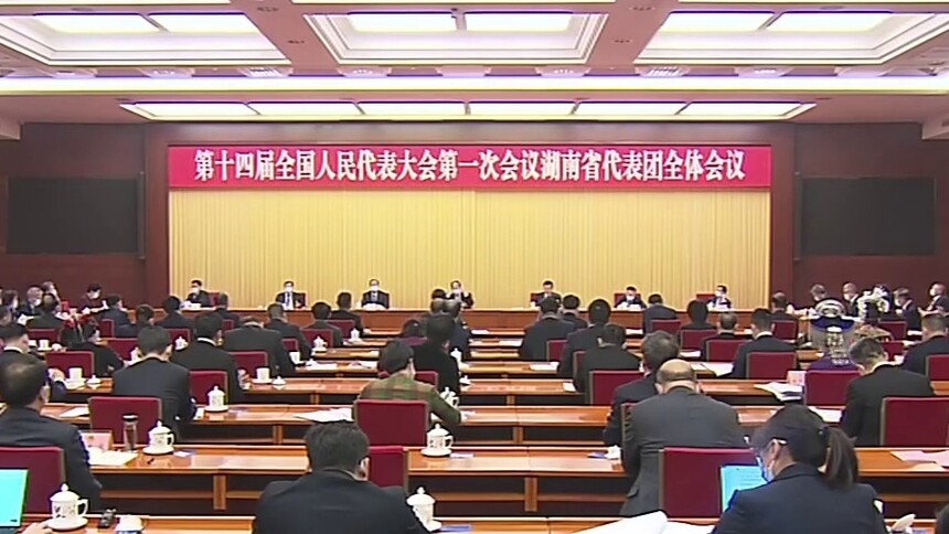 湖南代表团举行第三次全体会议 审议政府工作报告 石泰峰参加审议 张庆伟主持 毛伟明参加 李国英到会听取意见