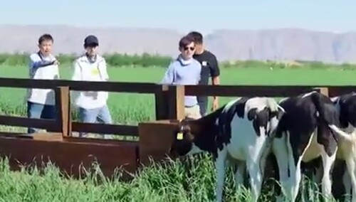 《向往的生活7》7月21日看点：黄磊何炅彭昱畅出发寻找苏苏