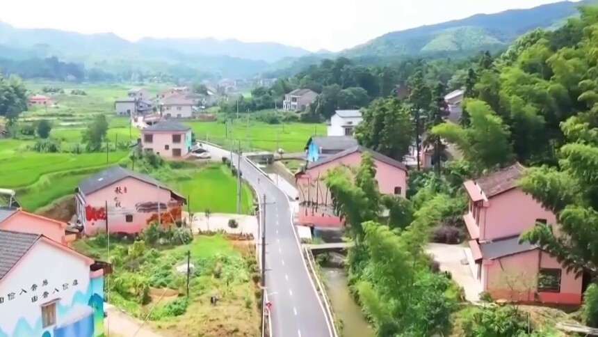 乡村规划促振兴 桃江县大华村：竹郁之乡焕新颜 景美人安产业兴