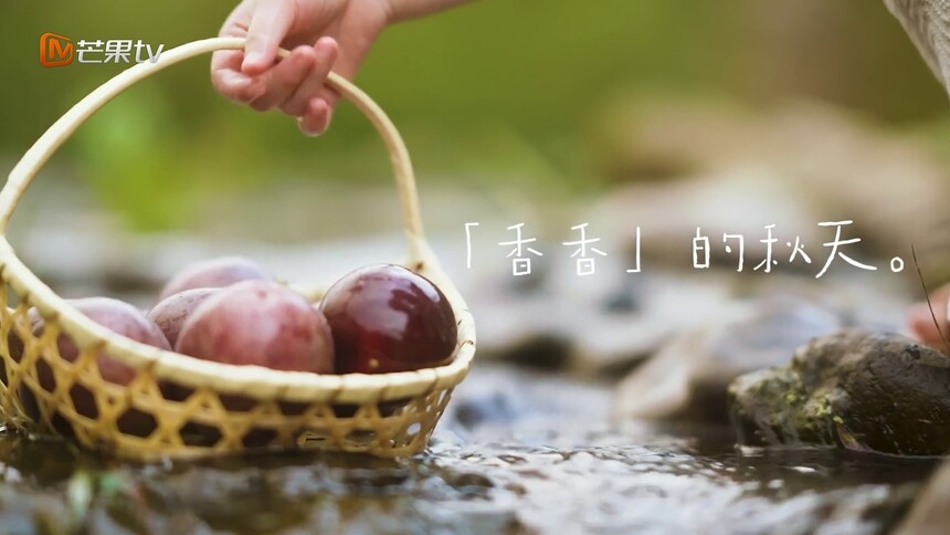 香香的秋天