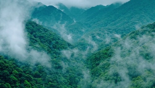 【我的家乡美 湘约马栏山】晴隆 一见钟晴