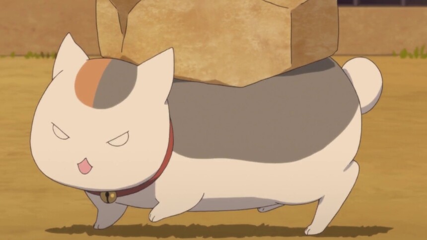 高贵如猫咪老师 也要干体力活了