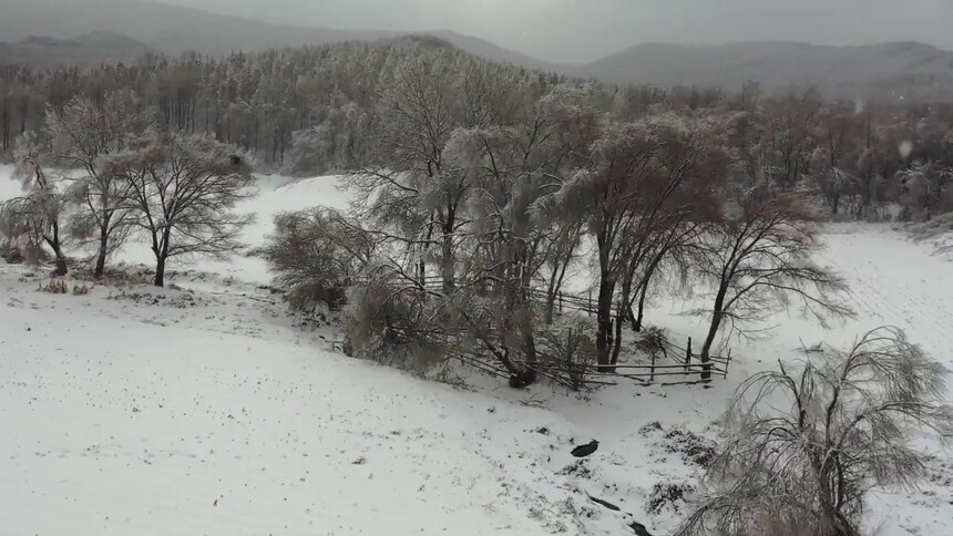 黑龙江方正：雪后水墨乡间