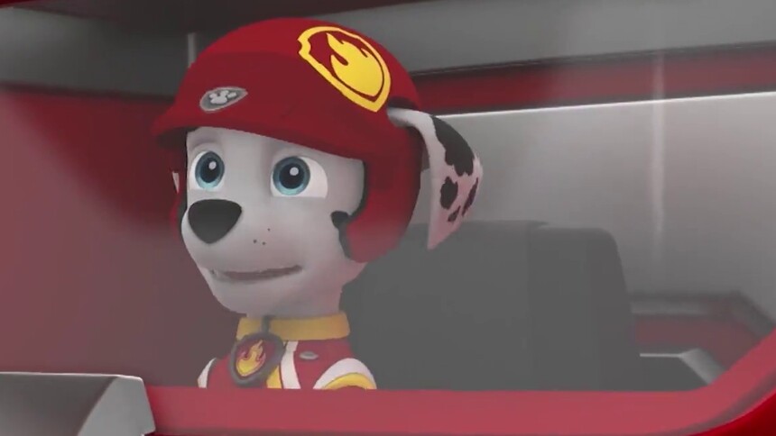 【灰灰特辑】汪汪赞！灰灰修理“才艺”大放送