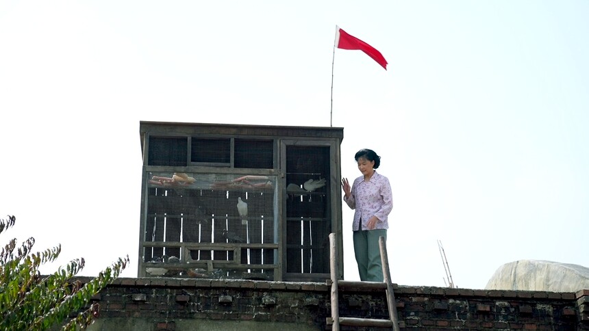 《乘风踏浪》幕后花絮之鸽子屋趣事-夫妻篇