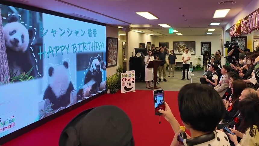 大熊猫“香香”7岁庆生会在东京举行