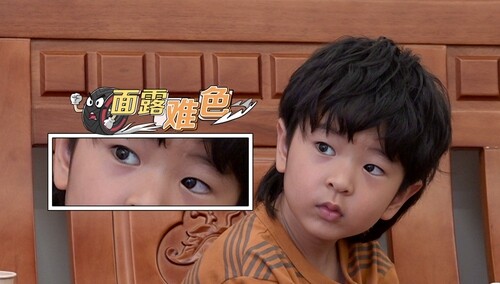 小小的脑袋大大的疑问 八喜“喜提”23岁大侄子？
