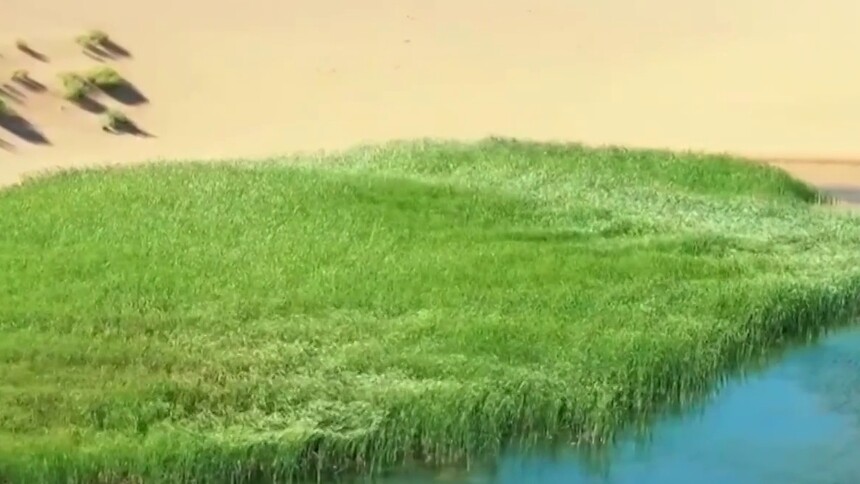 内蒙古马兰湖：黄沙碧草同根生