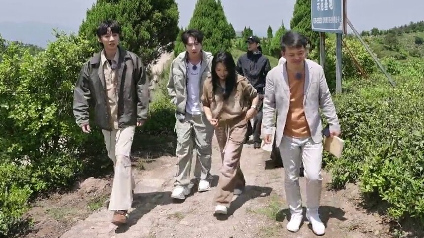 孙滢皓刻入骨子的采茶习惯