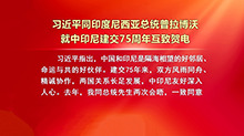 习近平同印度尼西亚总统普拉博沃就中印尼建交75周年互致贺电