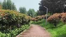 千城百县看中国｜湖南双清：爱莲池公园环水跑道邀你开跑