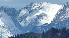 新疆玛纳斯县：青山叠翠 林海如画