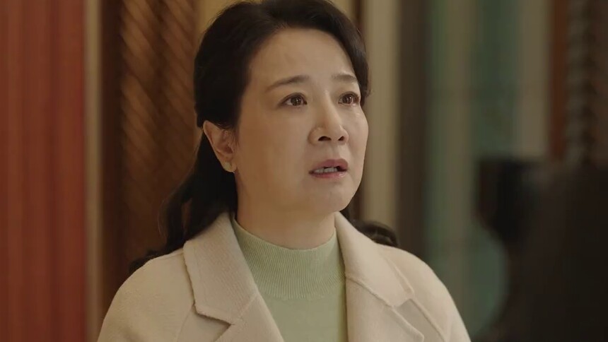 母亲怒斥雨婷只因渣男的数落