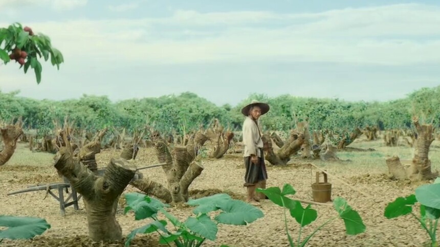 李善德重回岭南荔枝园