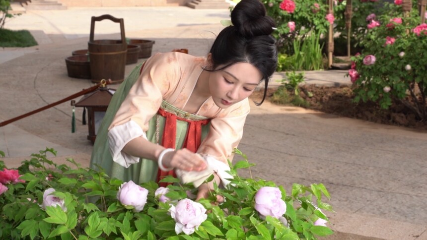 原花原景芳华尽显 养护细节真诚呈现