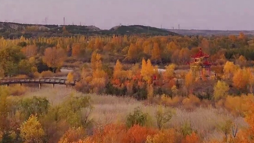 千城百县看中国丨内蒙古：秋意浸染 绘就绚烂画卷
