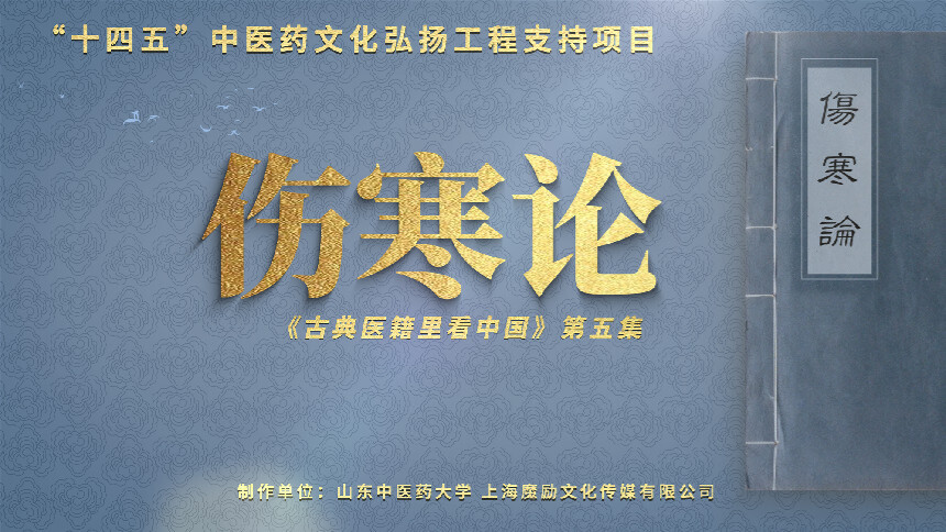 古典医籍里看中国 第5集：伤寒论——打开中医宝库的钥匙