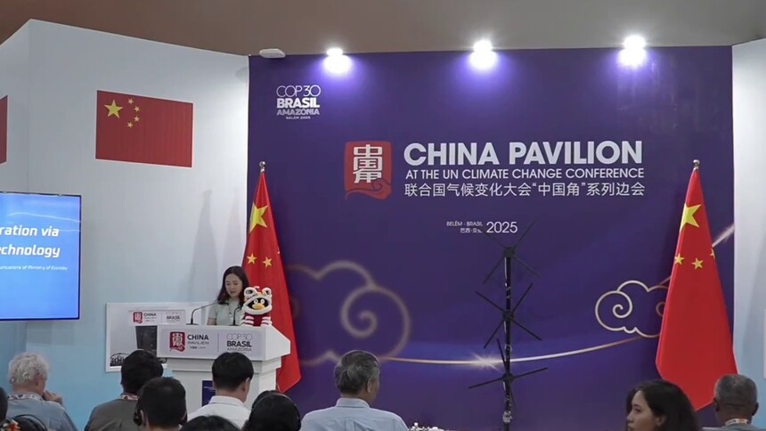 世界知识产权组织专家彼得·奥克森：中国是绿色技术创新的引领者