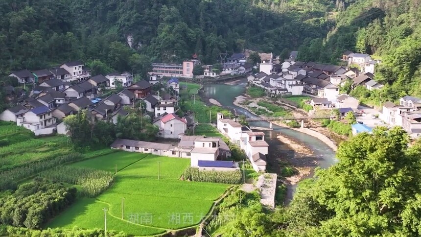 网络短视频 守墓人：一诺七十一载