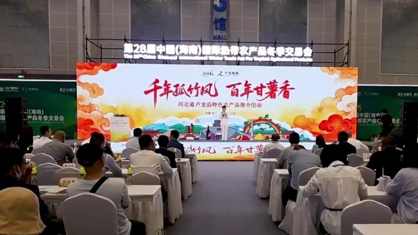 千城百县看中国｜河北卢龙：借“冬”风千里南寻 促“交”流山海同春