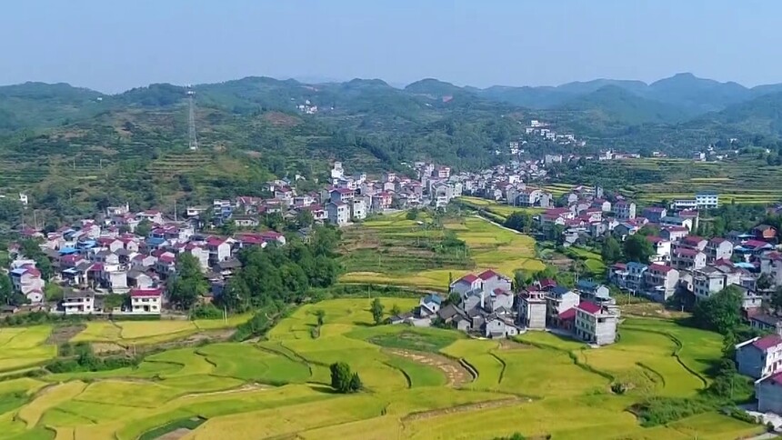 “十四五”答卷 农业大省挺脊梁 湖南“丰”景正好