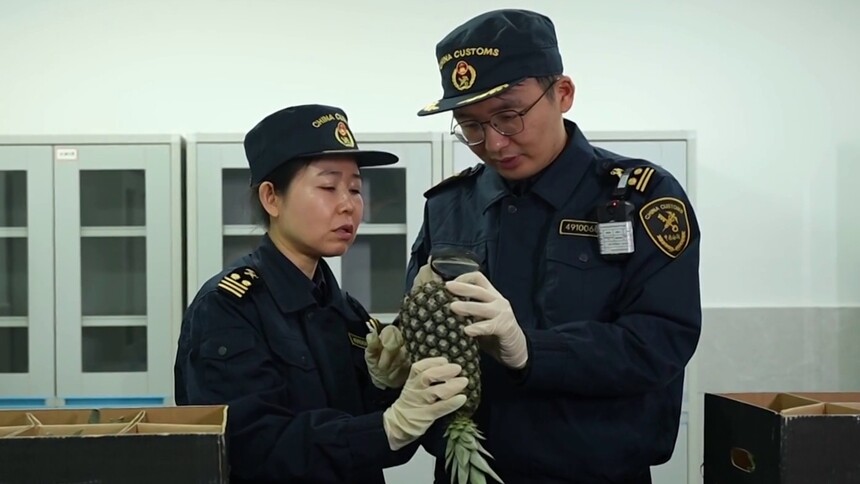 湖南开放型经济量质齐升 前11月进出口超4800亿元