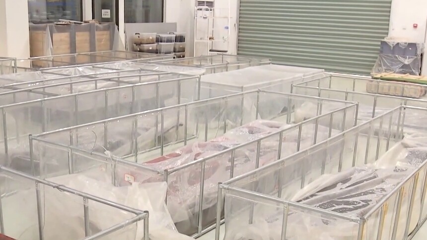 武王墩考古新发现 彩绘棺椁延续战国至秦汉传统