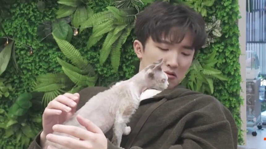 石展承王勉与小动物互动