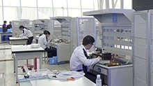 技兴三湘 能创未来 湖南省第二届职业技能大赛在株洲开幕 沈晓明毛伟明作出批示