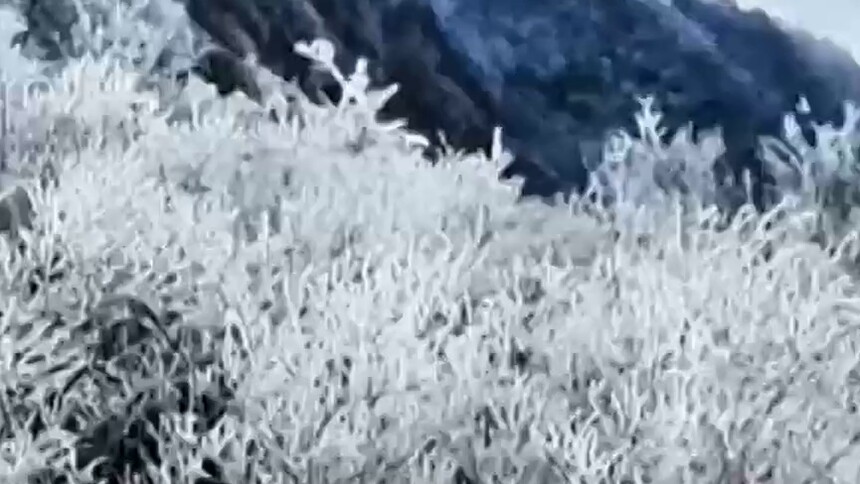 绝美雾凇遇上壮阔云海 新宁金紫岭变身冰雪仙境