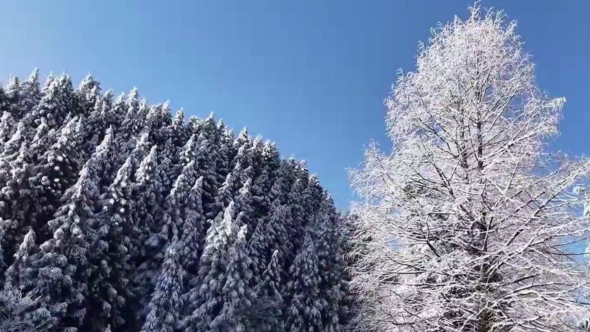 瞰中国·冰雪冬韵｜湖北咸丰：林海换银装