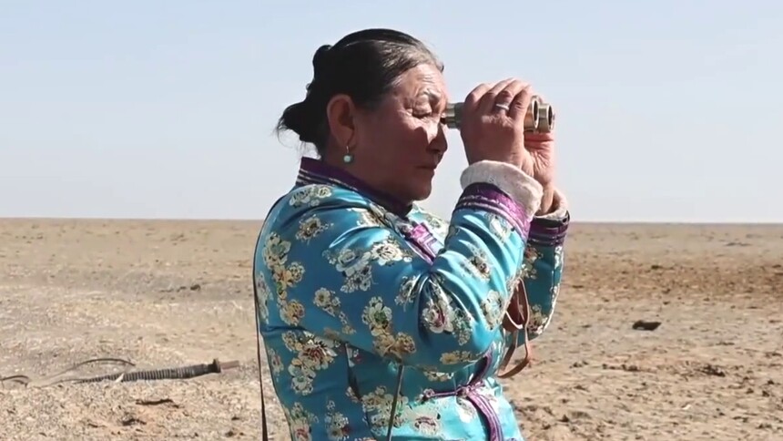 中国网事·感动2025｜戈壁“戍边额吉”敖云其木格