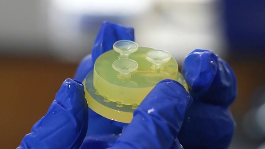 水凝胶如何“抓重物”？