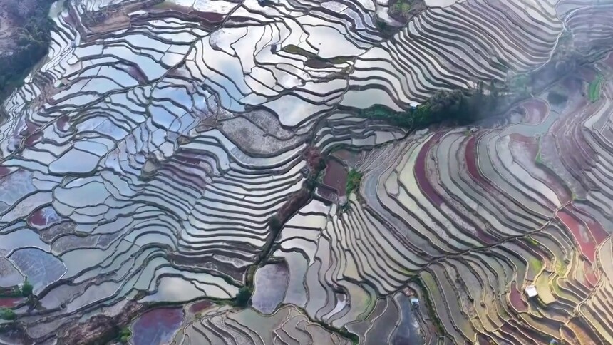 立春至 千年梯田启新耕