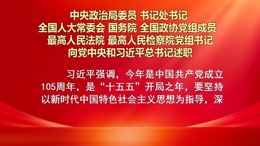 中央政治局委员、书记处书记等向党中央和习近平总书记述职